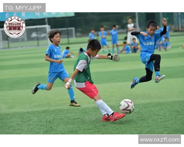 探索多样化的足球袜选择提升运动表现与舒适度的完美结合 探索多样化的足球袜选择提升运动表现与舒适度的完美结合