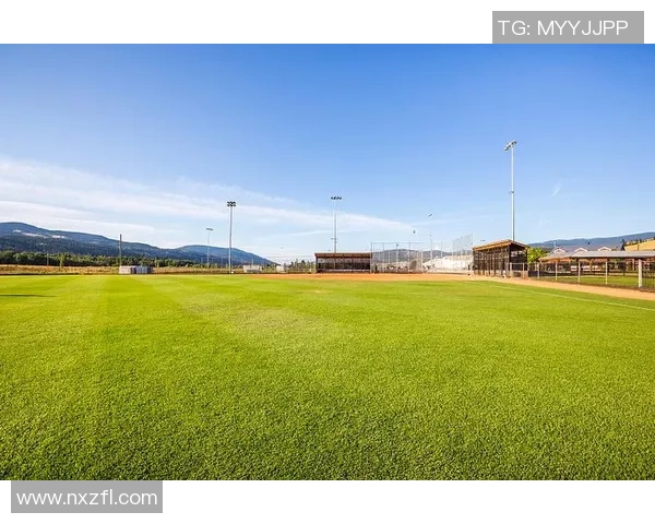 李蝶足球：从草地到梦想的旅程，如何在绿茵场上追逐辉煌与激情