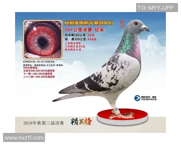 安徽翔宇足球俱乐部新赛季展望与发展战略分析报告