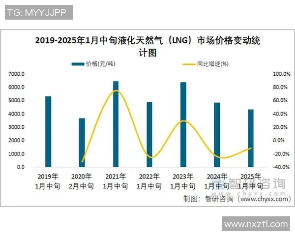 深度分析LNG的战略布局与市场攻势解析