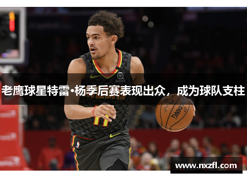 老鹰球星特雷·杨季后赛表现出众，成为球队支柱