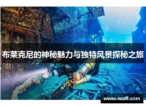 布莱克尼的神秘魅力与独特风景探秘之旅